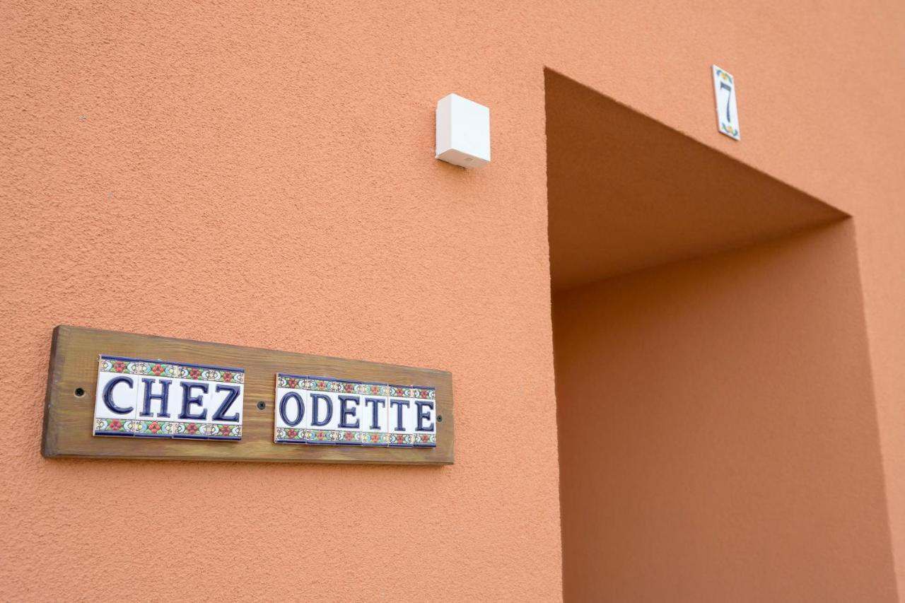 Chez Odette - Spa, Plancha, Parking Albi Zewnętrze zdjęcie